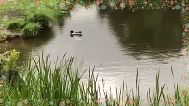 Пришлось выйти из машины. Подарок от Коли. Угостились в ресторане. Обзор на видео Самвела Адамяна. смотреть онлайн