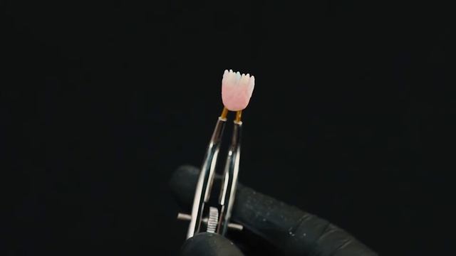 G Ceram ZF Porcelain Powder Build Up ( English) смотреть онлайн