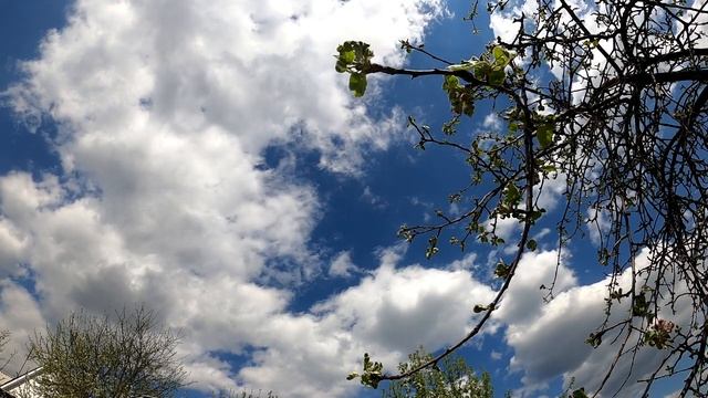 Жить текущим моментом. Примите прошлое и Уважайте будущее смотреть онлайн