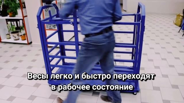 Весы для животных 