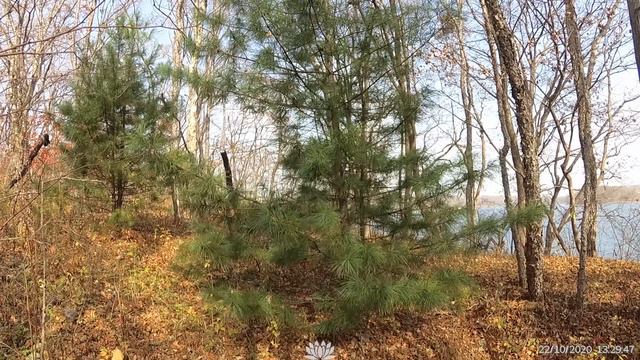 Осенние колокола. Albinoni – Adagio. #TomasoAlbinoni смотреть онлайн