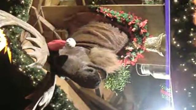 разговорчивый лось с шикарными ресницами (как живой!) смотреть онлайн