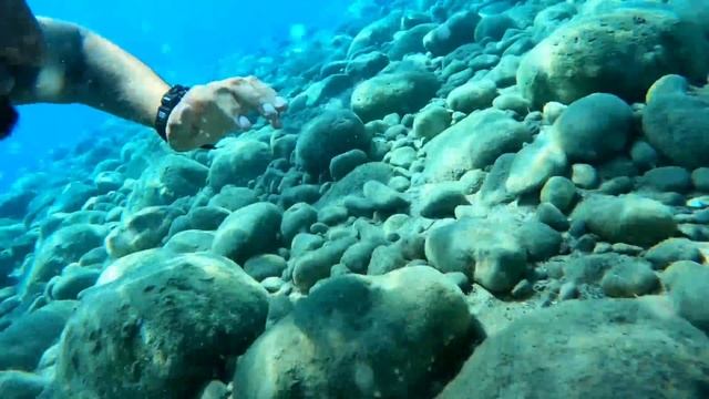 Турция ?? Как обманывают туристов Бельдиби Alexius Beach Hotel 4* Территория питание пляж смотреть онлайн