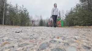 6 соток 17 апреля 2024 года. Хроника.