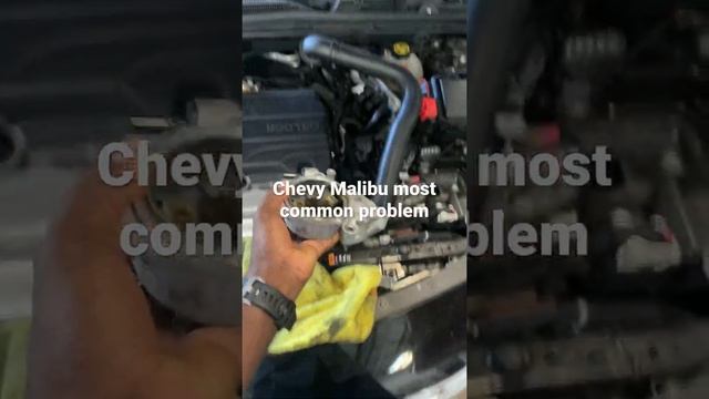 Chevy Malibu most common problem смотреть онлайн