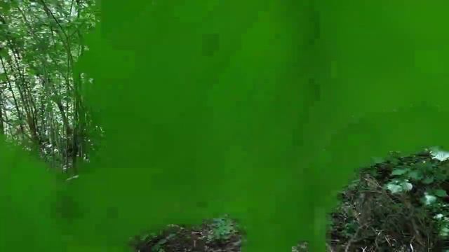 VID 20220716 161044 Занесенные в марте 1966 (Г. Айги)...Павел Васильев Лахтинский