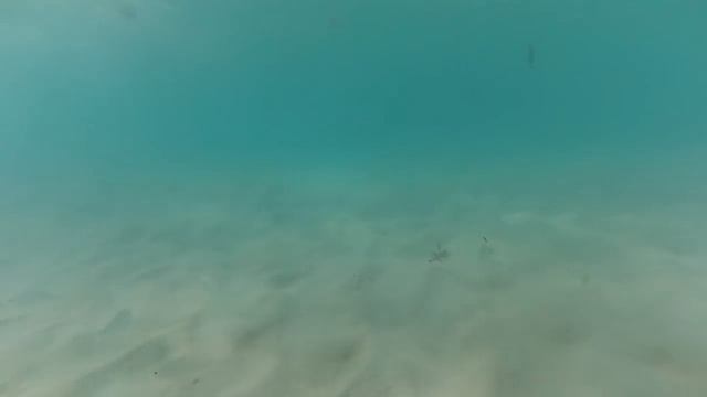 Ко и О #91 ПУТЕШЕСТВИЕ НА КУБУ ЧАСТЬ ТРЕТЬЯ ГАВАНА СЬЕНФУЭГОС ТРИНИДАД САНТА КЛАРА TRIP TO CUBA смотреть онлайн