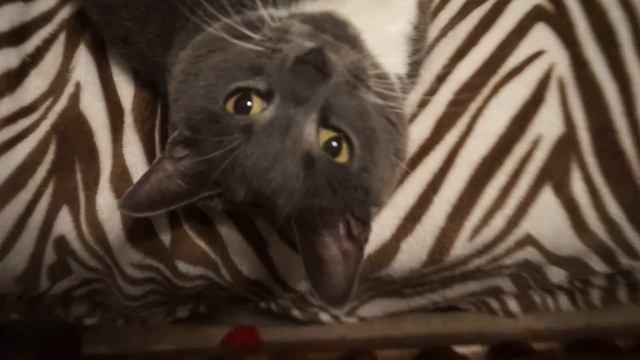 Nyx First Base Primer Spray Impressions And Review