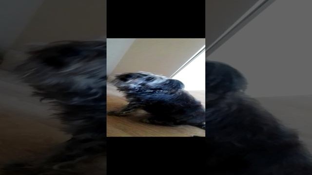 The Future Sound Of London - Papua New Guinea