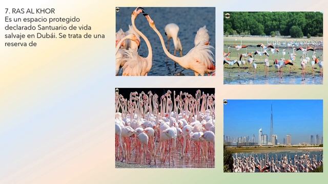 RELAX MUSIC DUBAI Amazing TOURIST Attractions 2021 ? смотреть онлайн