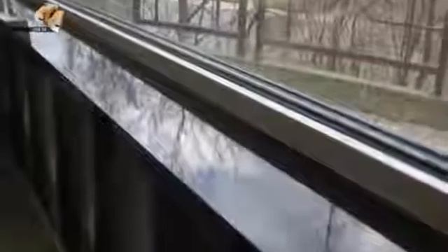 Особенности и характеристики подоконника DANKE смотреть онлайн