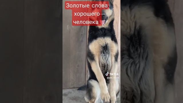 думаю он прав смотреть онлайн