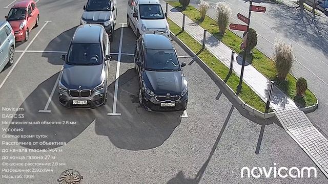 Novicam BASIC 53 день смотреть онлайн