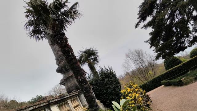 Интересные места и растения Крыма! смотреть онлайн