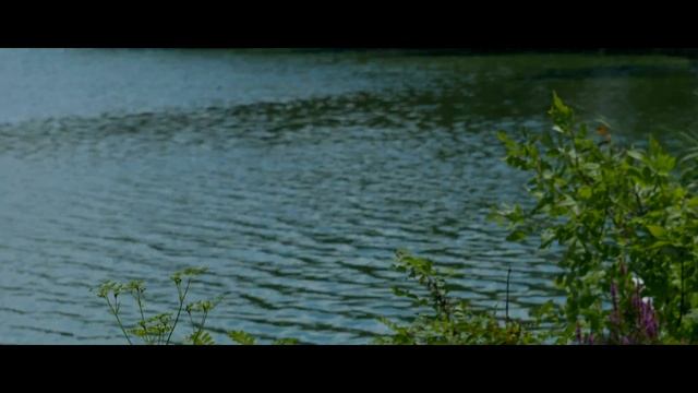 Helios 44M-4 58mm f2 with Panasonic G7 IN 4K смотреть онлайн