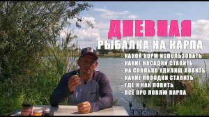 Как поймать карпа за 2 часа. Дневная ловля карпа на озере. Понятно о карпфишинге.