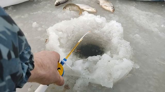 Подлещик зимой. Ловля подлещика на мормышку. смотреть онлайн