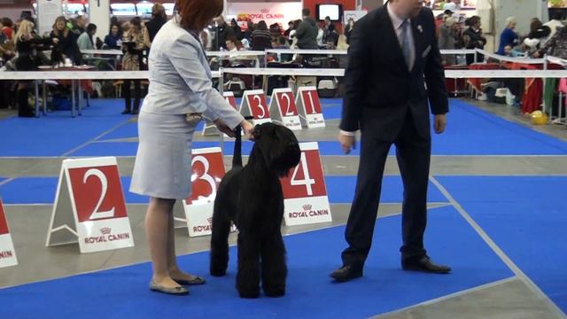 Кобели Открытый 14.12.13