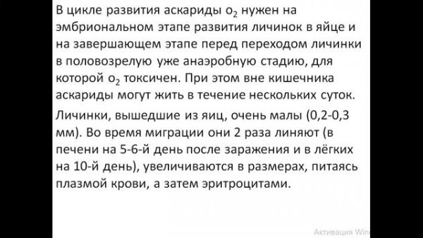 Аскарида человеческая (Ascaris lumbricoides)