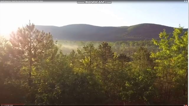 ЕЩЕ ОДНА ПЛАТЕЖНАЯ СИСТЕМА !!! смотреть онлайн