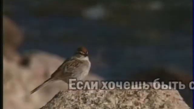 "Улыбки" (с голосом) смотреть онлайн