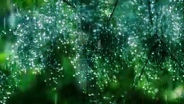 Расслабляющая музыка и нежные звуки дождя ─ красивой фортепианной музыки для релаксации и сна, Rela