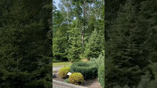 Комплекс отдыха Маяк. Владивосток. Август 2021 смотреть онлайн