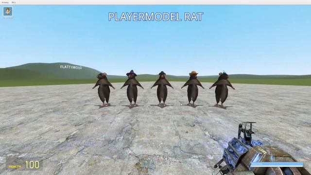 Funny Rat Playermodel (GMOD Model showcase) смотреть онлайн