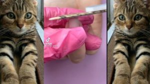 ?| Маникюр + страшные истории| ?