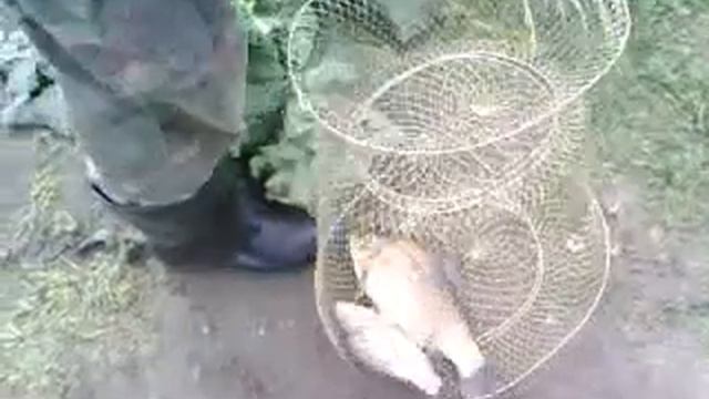 Отчет о рыбалке в Подмосковье 31 мая 2010 г N2.3gp смотреть онлайн