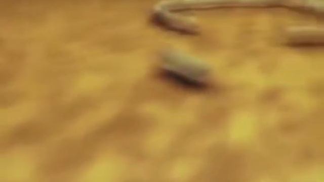 Теория Дарвина это просто теория.жгутиковая бактерия.#теориядарвина#смыслжизни#земля#большойвзрыв#