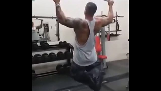 Entrenamiento de espalda смотреть онлайн