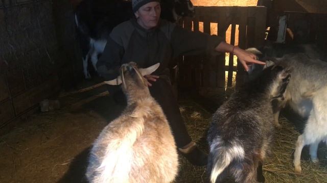 Да или нет?Вот в чем вопрос?! смотреть онлайн