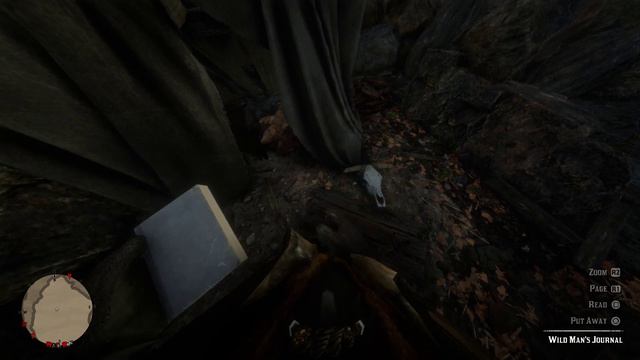 Red Dead Redemption 2 Feral Man Confrontation First Person 120FOV 1440p 60fps смотреть онлайн