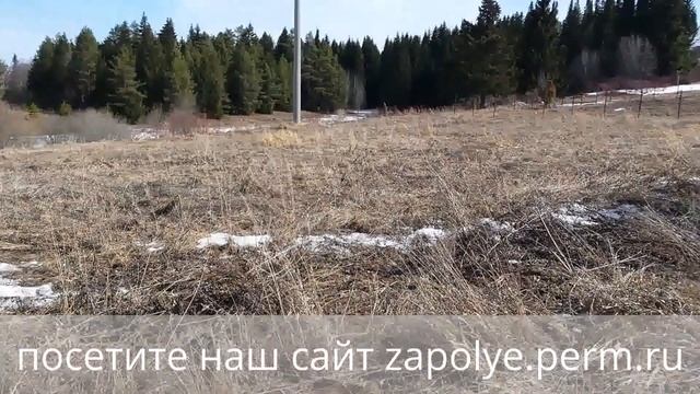 Продается участок ИЖС 15,2 сот, ул. Лазуритовая 21, пос. Новое Заполье, Пермский район смотреть онлайн