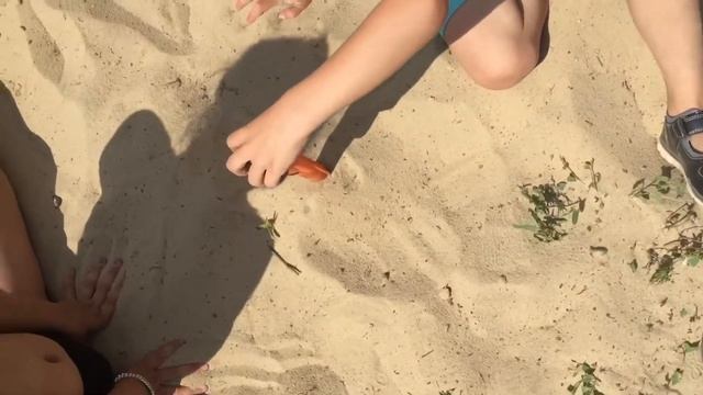 Обзор полезного металлоискателя gp-pointer смотреть онлайн