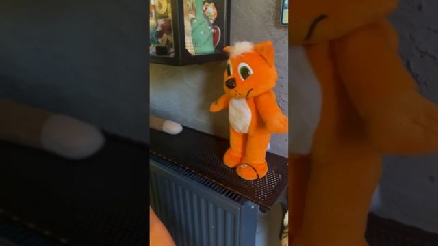 Музей котиков ?#зеленоградск #калининград #музей #интересное #туризм смотреть онлайн