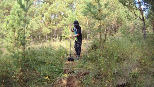 трава смотреть онлайн