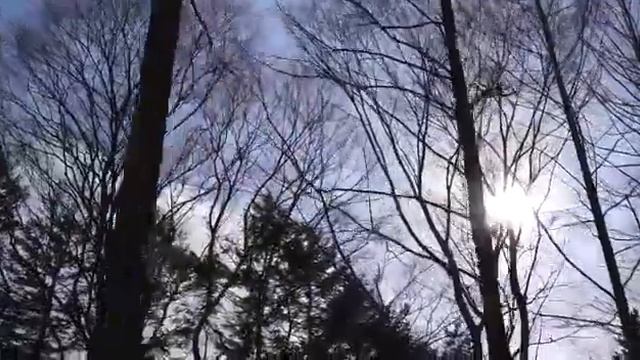 Test kamera DSLR sony смотреть онлайн