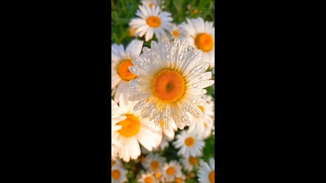 12 февраля 2024 г.