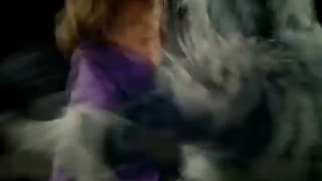 Power Rangers Furia Animal Capitulo 18 смотреть онлайн