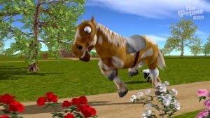 Пойте с Бартолито и его друзьями | На ферме у Зенона