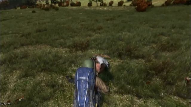 DayZ Standalone: A Hard Decision смотреть онлайн