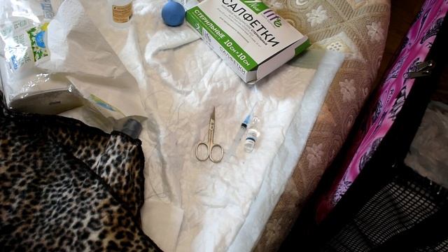 Роды 1 часть. Как помочь кошке во время родов? Подготовка к родам... смотреть онлайн