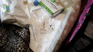 Роды 1 часть. Как помочь кошке во время родов? Подготовка к родам...