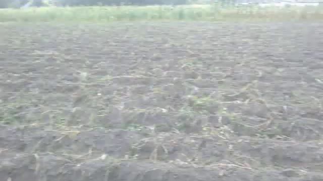 Посадка картофеля в с.Старое. смотреть онлайн