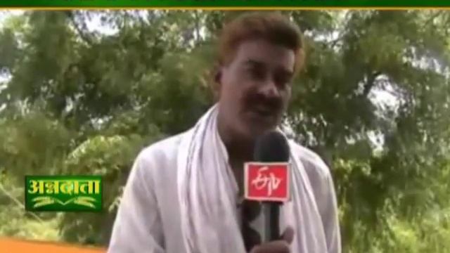 Know how to extract papain from papaya смотреть онлайн