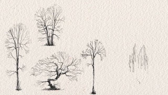 drawing trees for architectural sketches смотреть онлайн