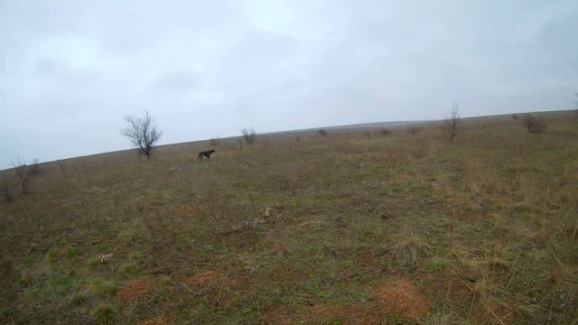 Крым 29.03.2018 Вайд смотреть онлайн