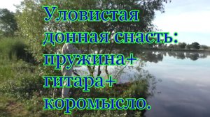 Уловистая донная снасть_ _пружина_+_гитара_ +_коромысло